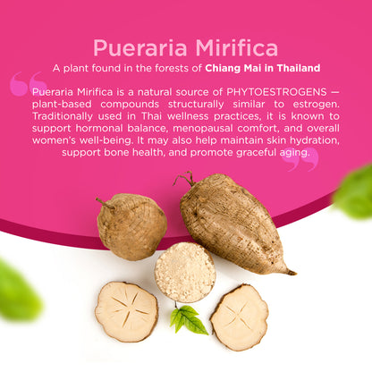 Vitabowl Pueraria Mirifica | Menopause & Hormonal Balance Support | Natural Phytoestrogens for Skin Hydration, Bone Health & Women’s Wellness | Sourced from Thailand | 60 Capsules (Pack of 1)