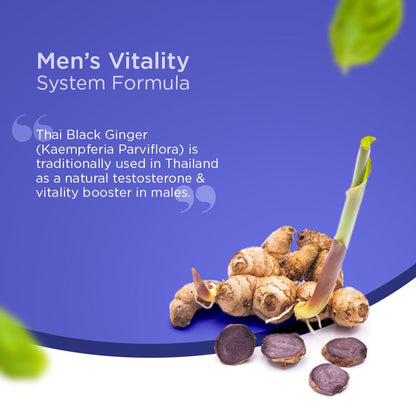 Organic Black Ginger Capsules, 100% Natural Testosterone Booster - 60 Veg Capsules - Vitabowl